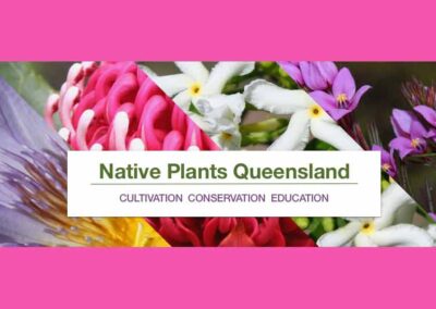 Native Plants Qld (formerly SGAP)