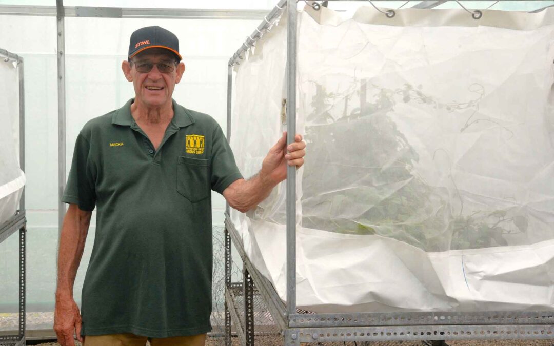 fight against invasive weeds