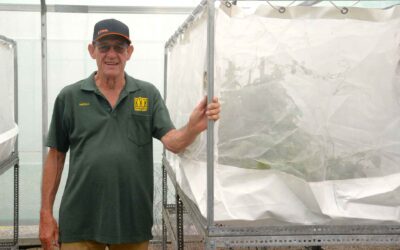 Tiny Heroes: the Samford Biological Control Facility