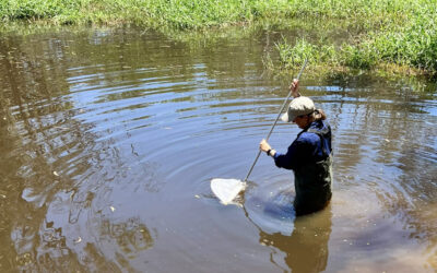 RiverWatch Update: Community Science Protecting Our Waterways