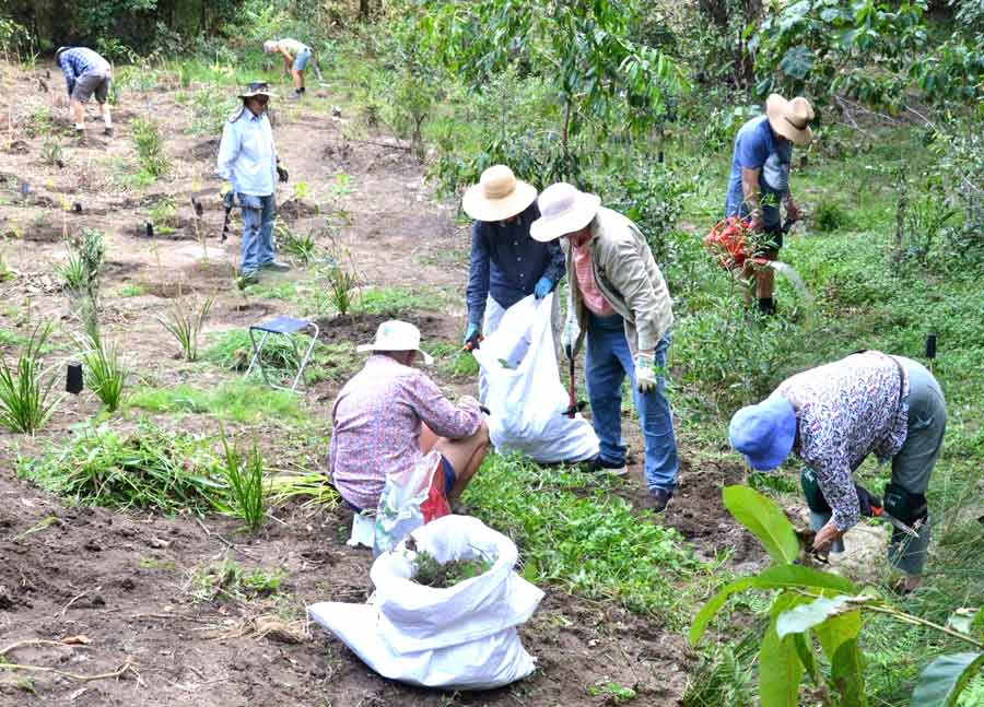 samford eco corridor volunteers